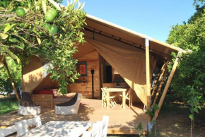 Гостиница Campo Portakal Eco Glamping  Кемер